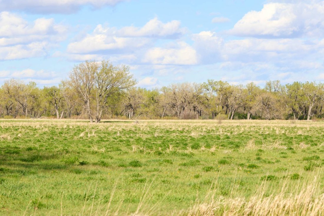 Land in Harlem, Montana, United States 1 - 17842782
