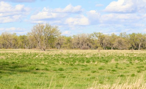 Terreno a Harlem, Montana, Stati Uniti 1