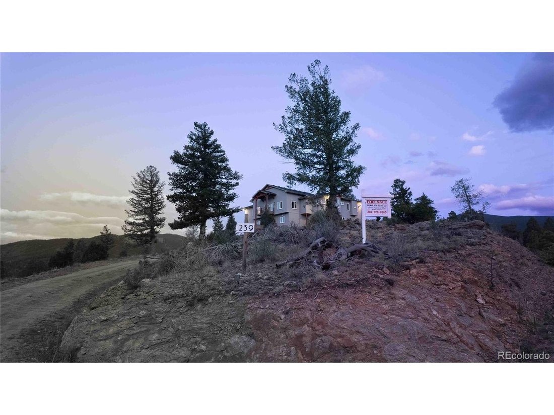 House in Idaho Springs, Colorado, United States 2 - 18174483