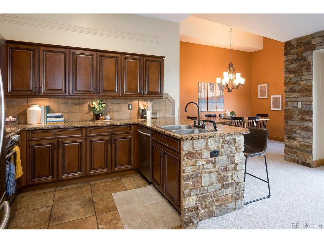 Condo in Dillon, Colorado, United States 5 - 18174155