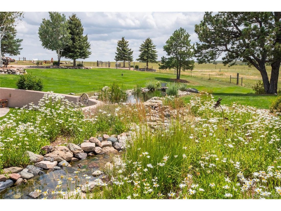 Elbert, Colorado, United States 4 - 18173572