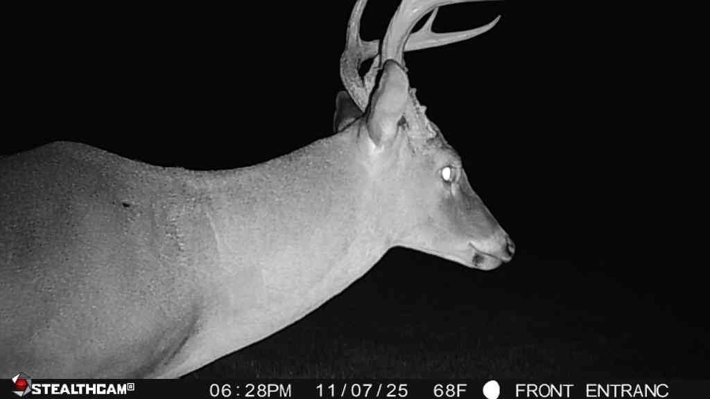 Land in Winnsboro, Louisiana, United States 5 - 18172197