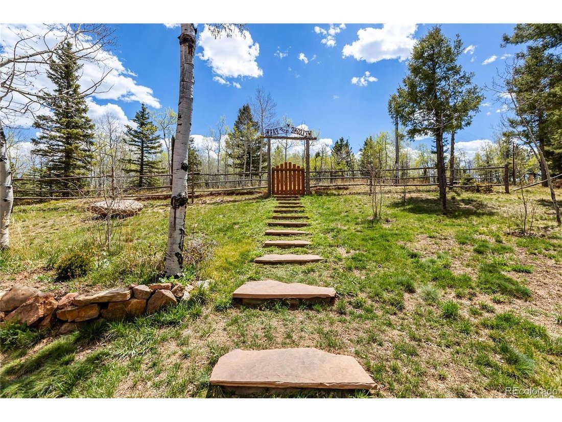 House in Westcreek, Colorado, United States 3 - 18174489