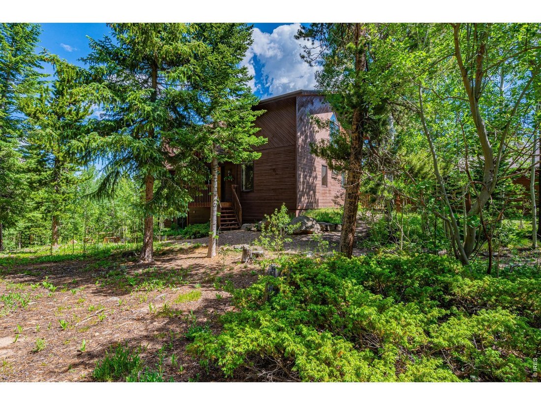 House in Allenspark, Colorado, United States 5 - 18173080
