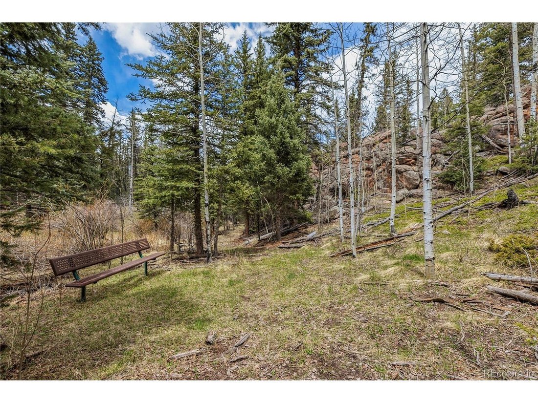 House in Westcreek, Colorado, United States 5 - 18174489