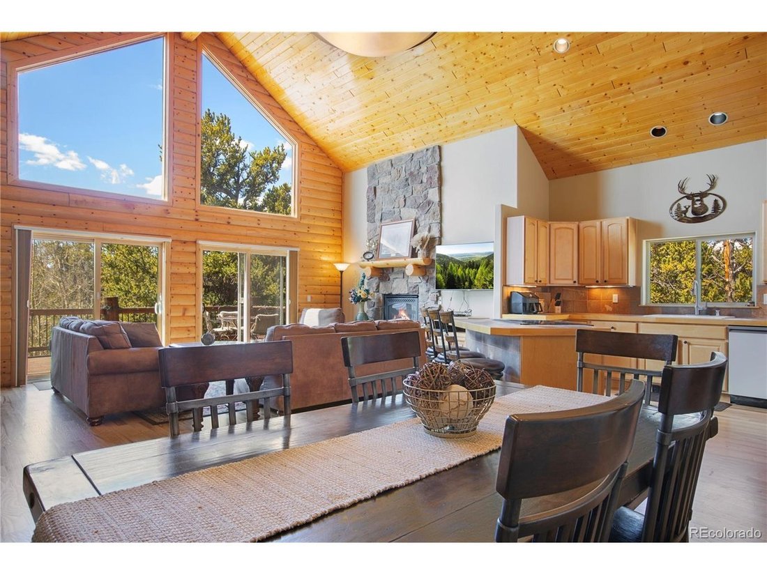 House in Fairplay, Colorado, United States 5 - 18172633