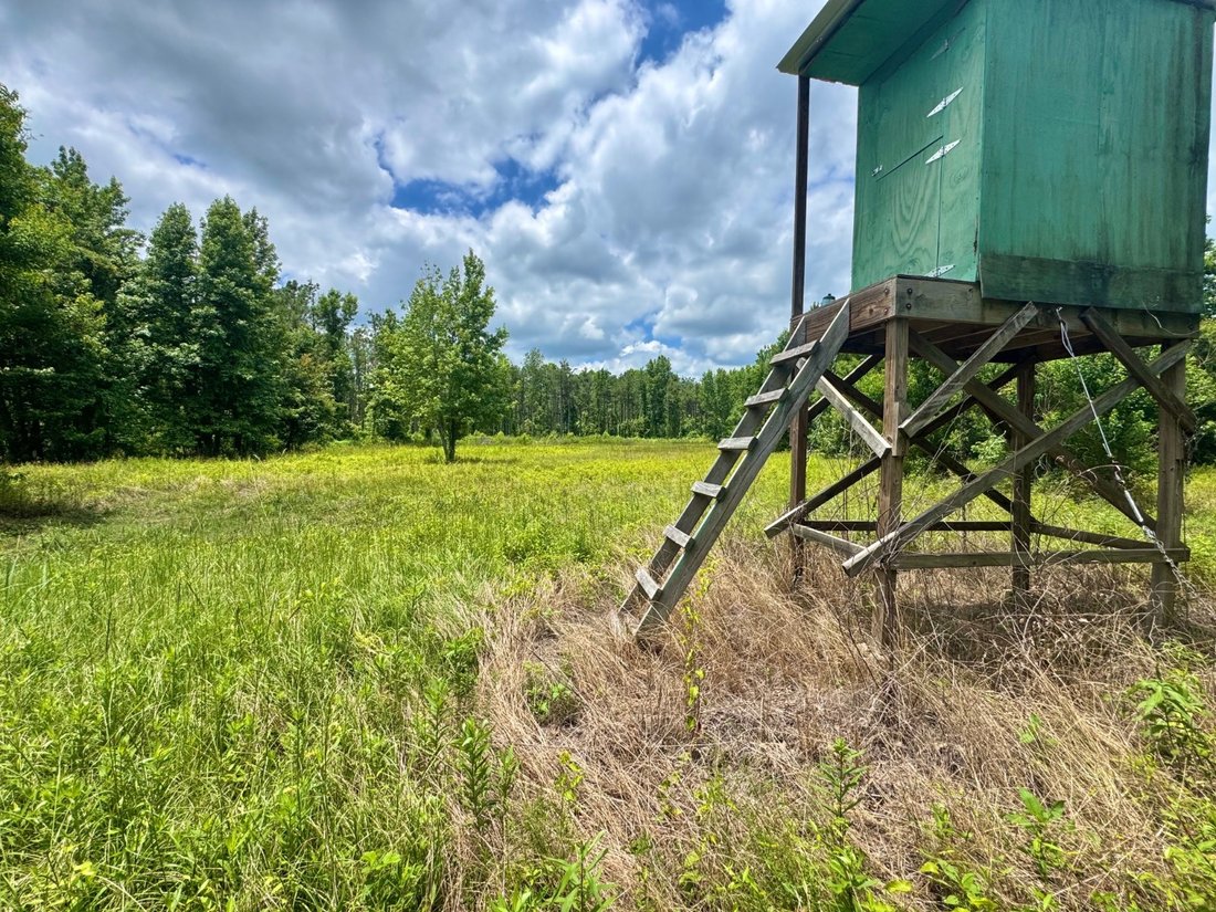 Land in Winnsboro, Louisiana, United States 4 - 18172197