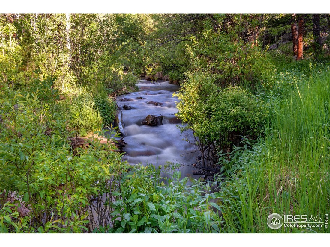 Allenspark, Colorado, United States 2 - 18173246