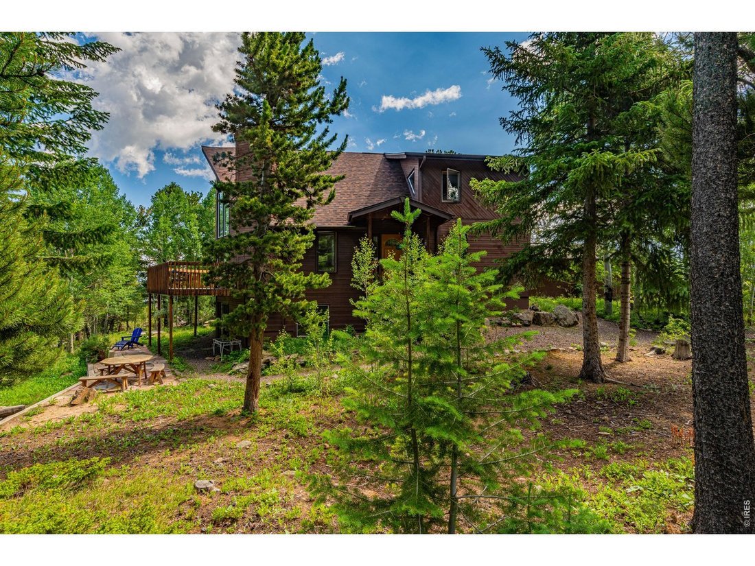 House in Allenspark, Colorado, United States 3 - 18173080