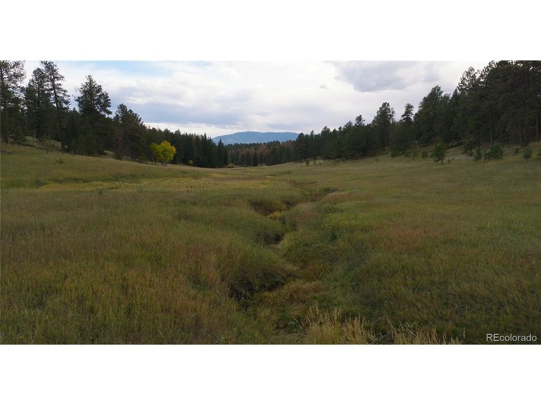 Land in Conifer, Colorado, United States 4 - 18174059