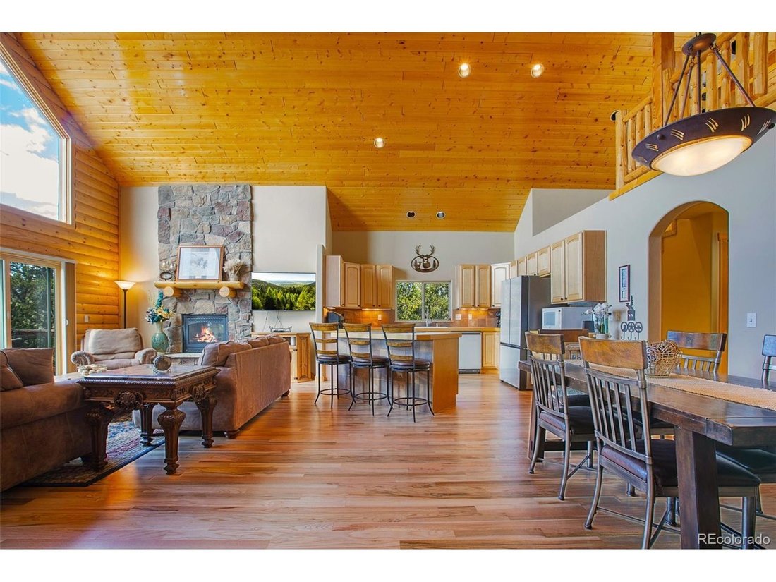 House in Fairplay, Colorado, United States 4 - 18172633