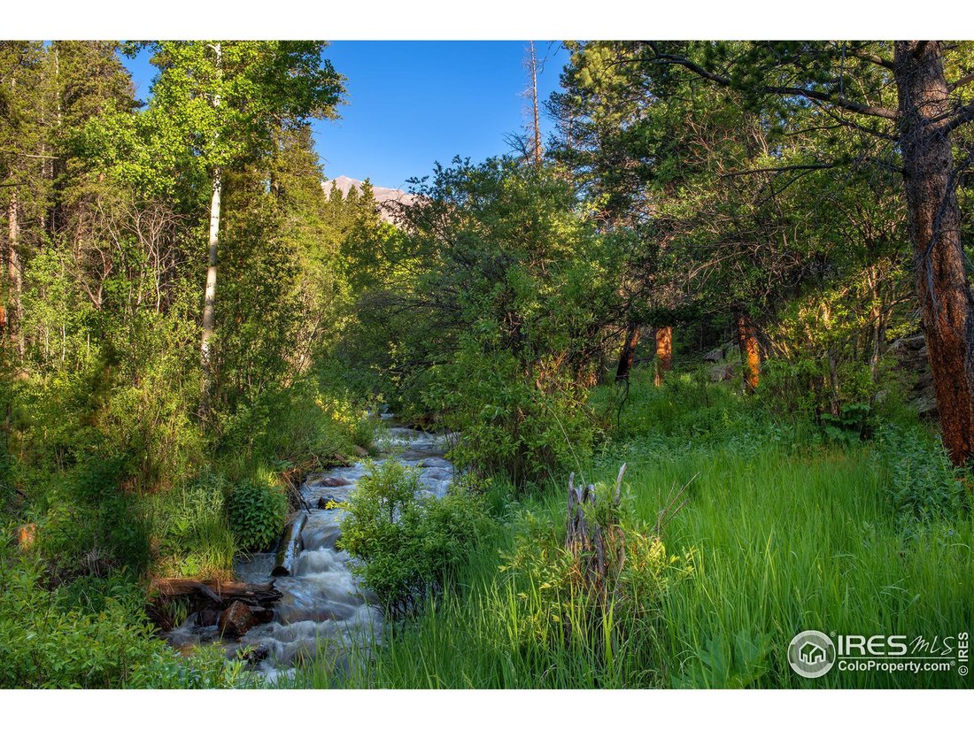 Allenspark, Colorado, United States 5 - 18173246
