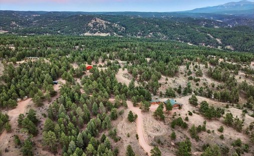 House in Florissant, Colorado, United States 1