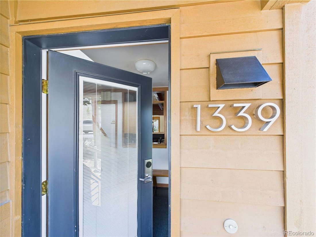 Condo in Dillon, Colorado, United States 3 - 18172531