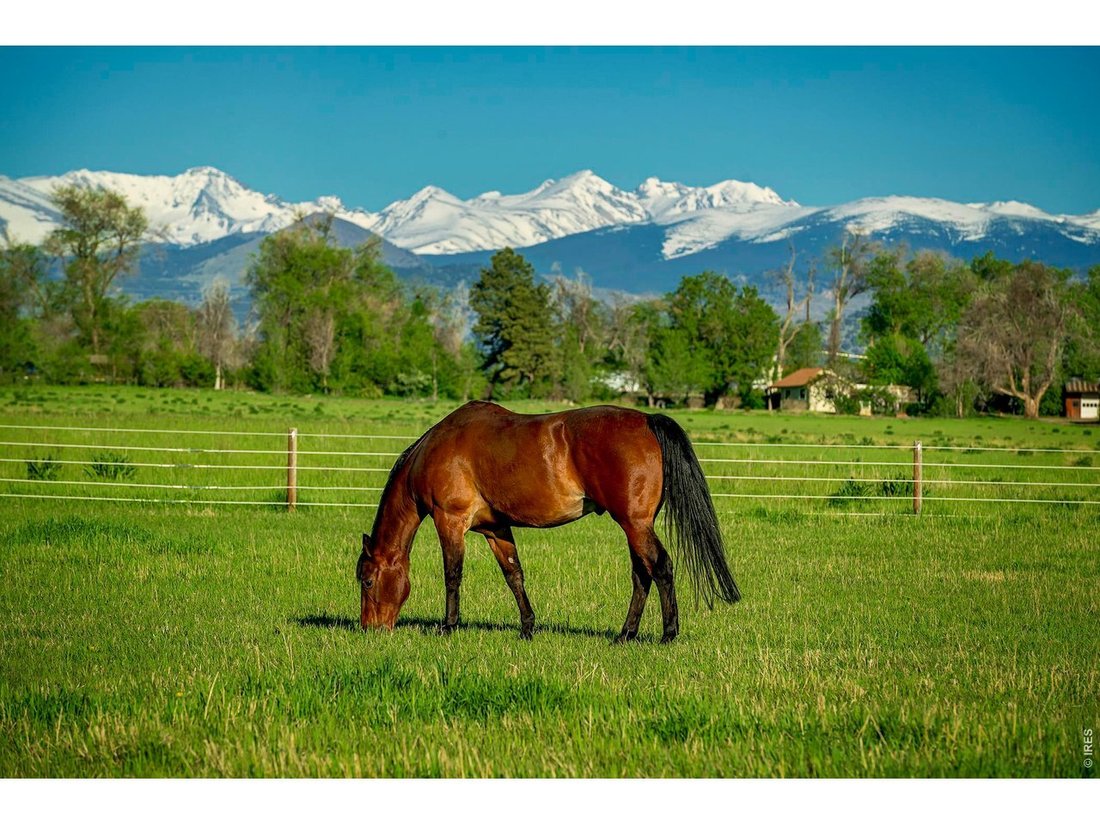 Haus in Boulder, Colorado, Vereinigte Staaten 5 - 18174625