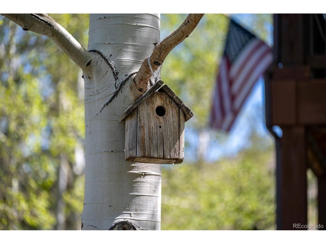 House in Granby, Colorado, United States 5 - 18173935