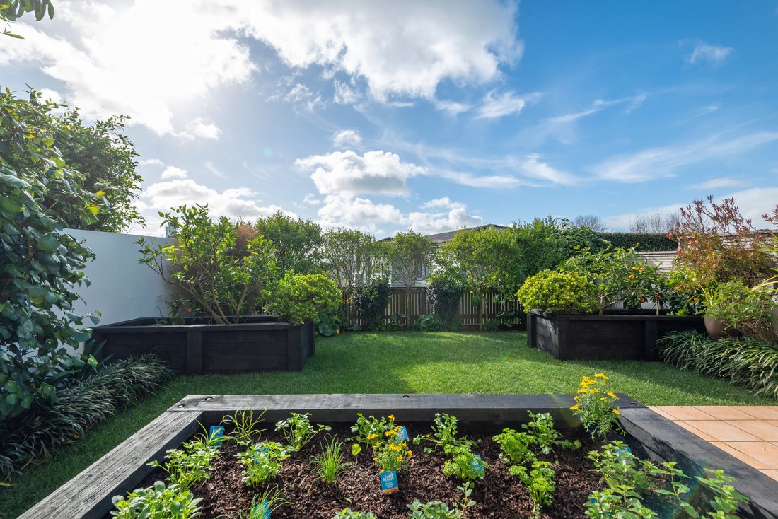 House in Auckland, Auckland, New Zealand 4 - 18172233