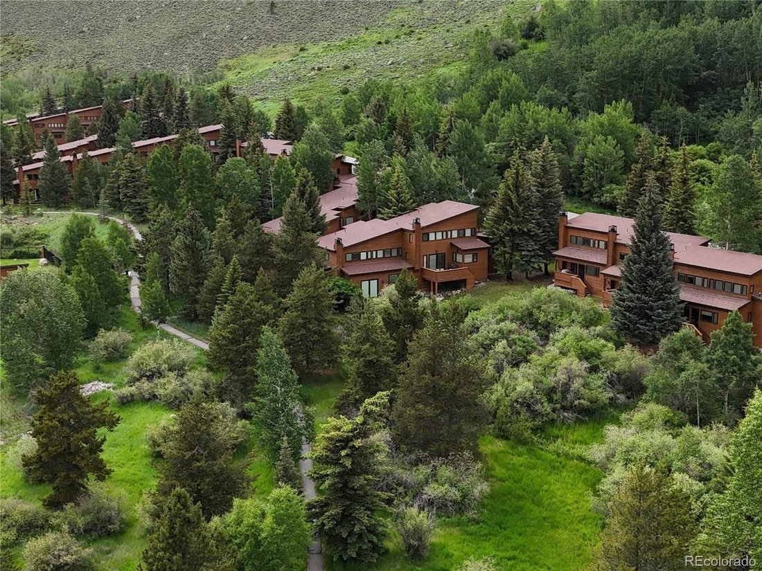 Condo in Dillon, Colorado, United States 4 - 18172531