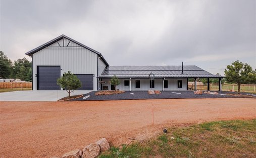 House in Florissant, Colorado, United States 1