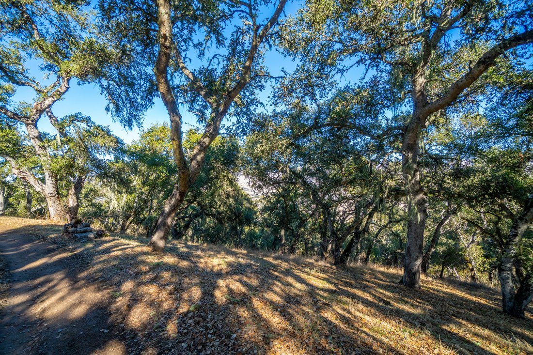 Land in Carmel Valley, California, United States 4 - 18172262