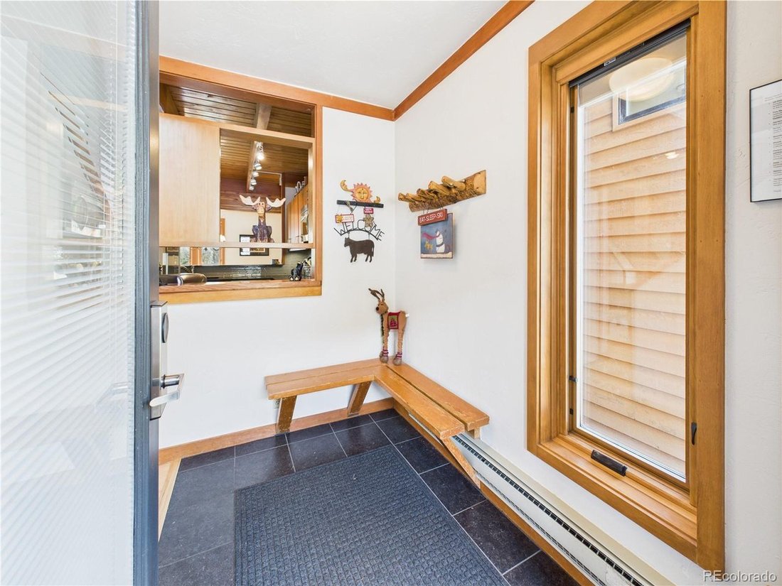 Condo in Dillon, Colorado, United States 5 - 18172531