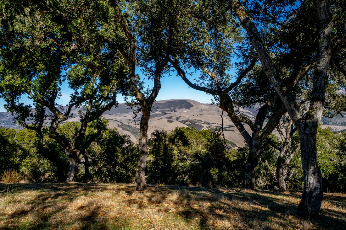Land in Carmel Valley, California, United States 2 - 18172262