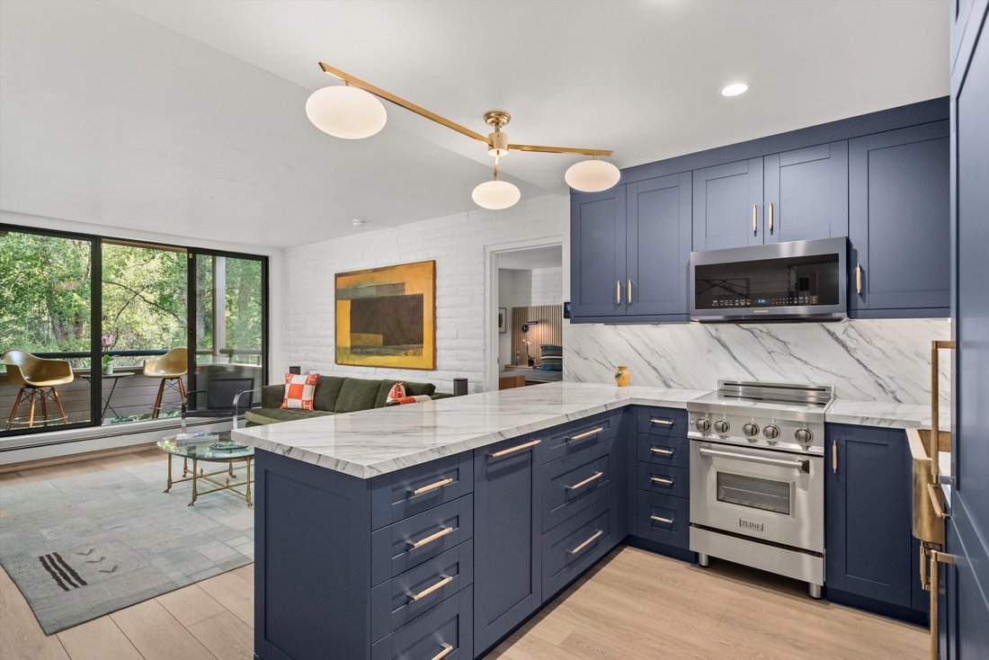 Condo in Aspen, Colorado, United States 4 - 18174618