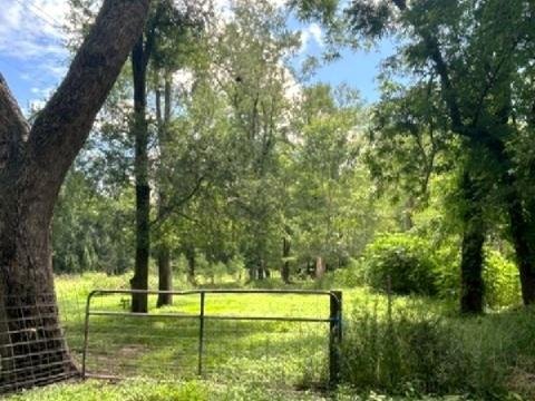 House in Brookshire, Texas, United States 2 - 17466665