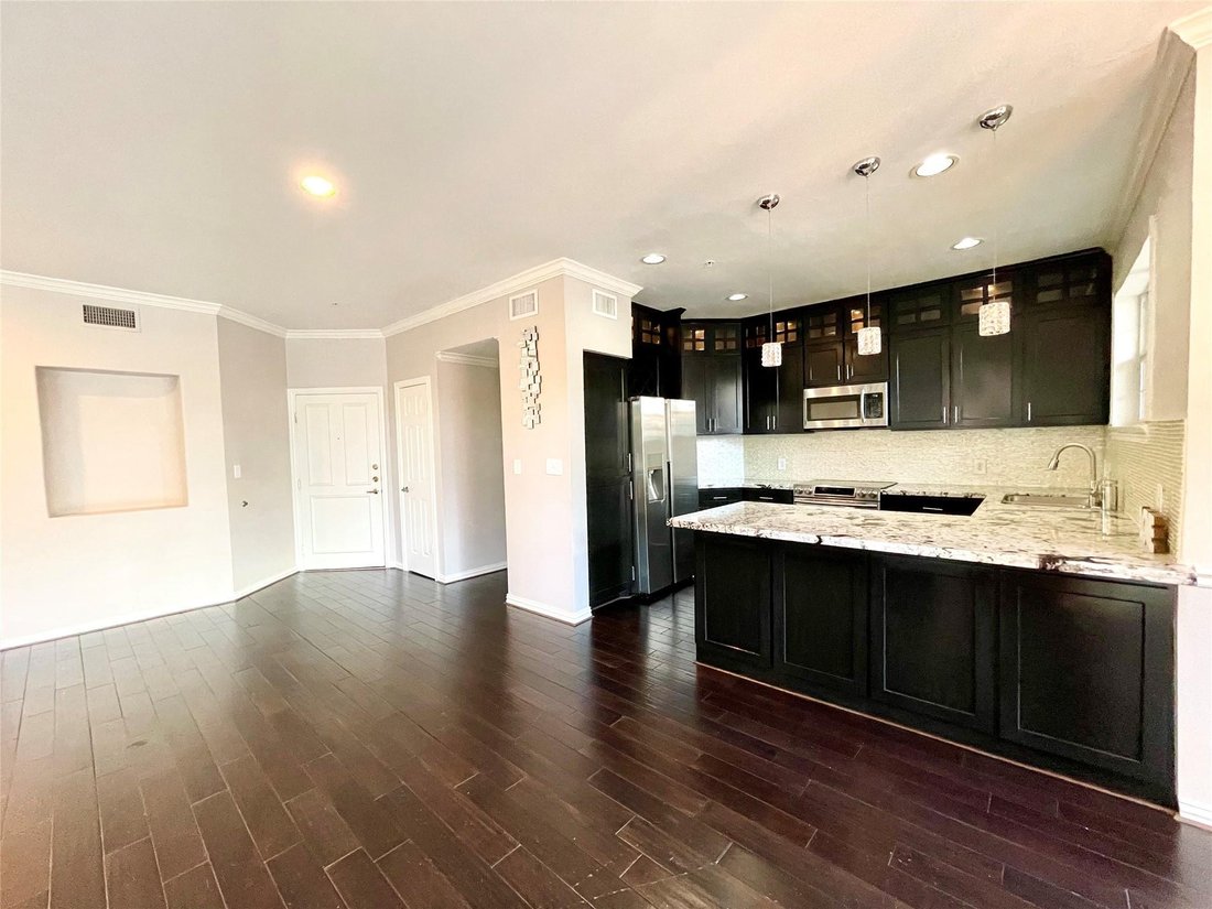 Condo in Houston, Texas, United States 3 - 18175289