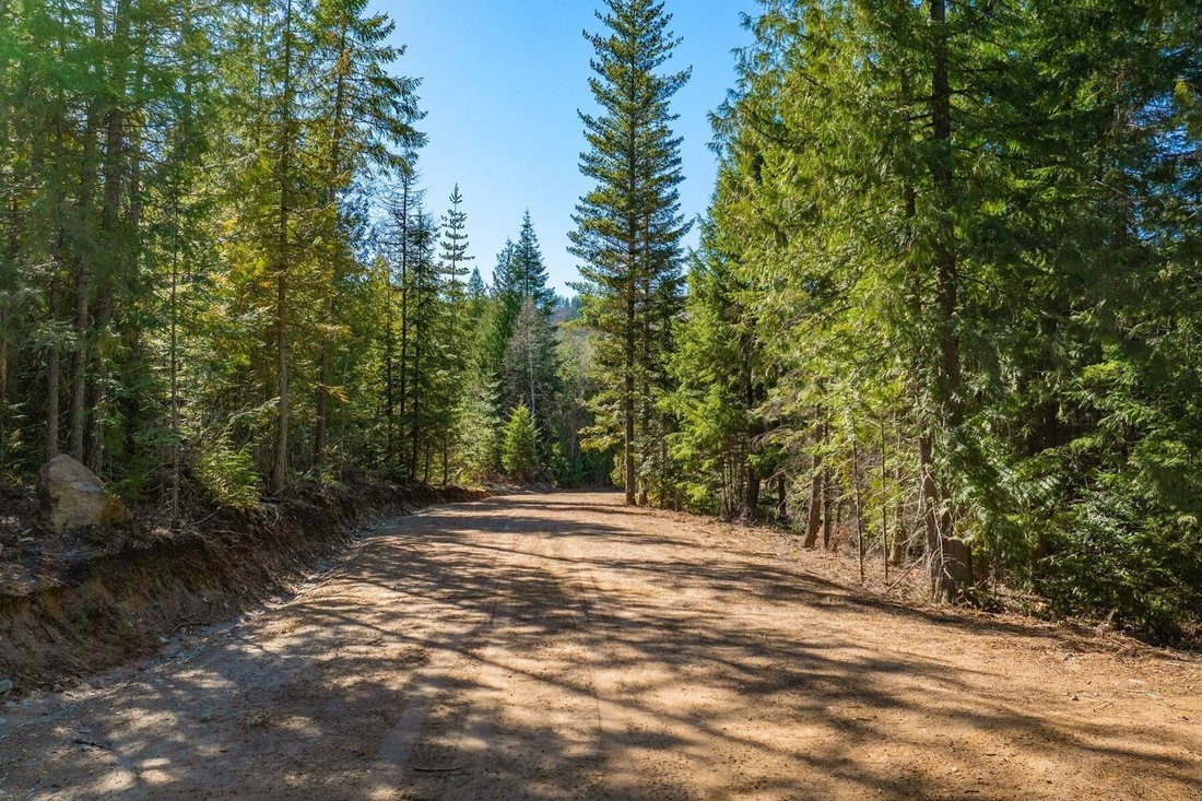 Land in Priest River, Idaho, United States 5 - 18175313