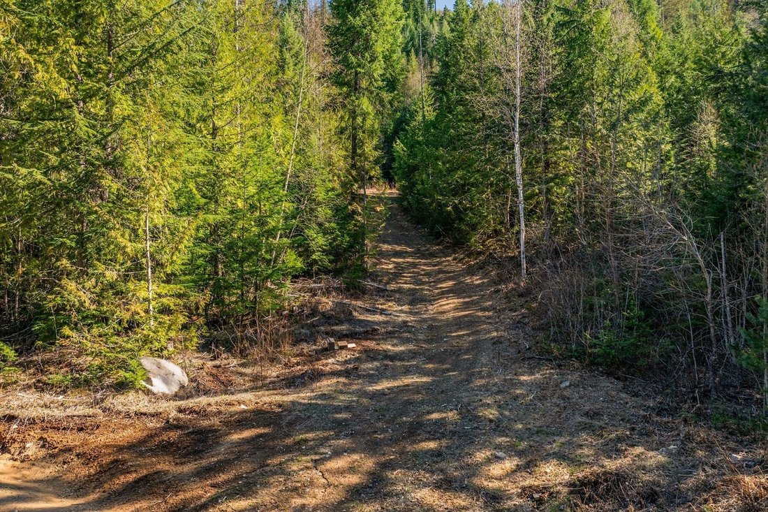 Land in Priest River, Idaho, United States 3 - 18175313