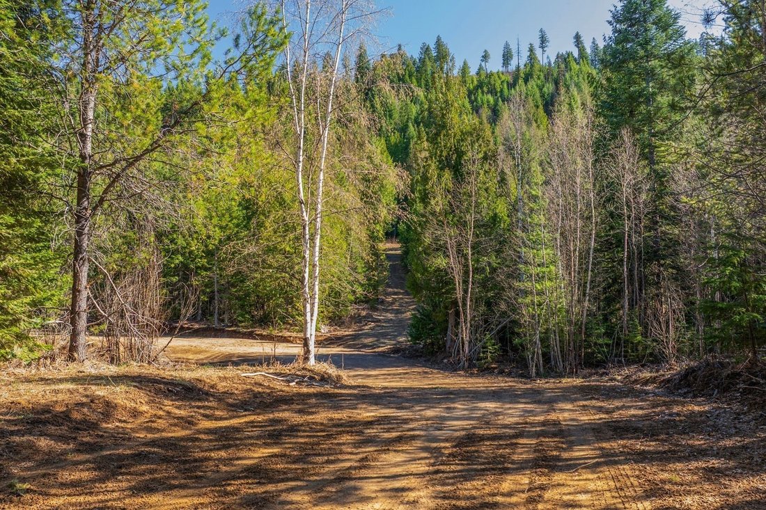 Land in Priest River, Idaho, United States 1 - 18175313