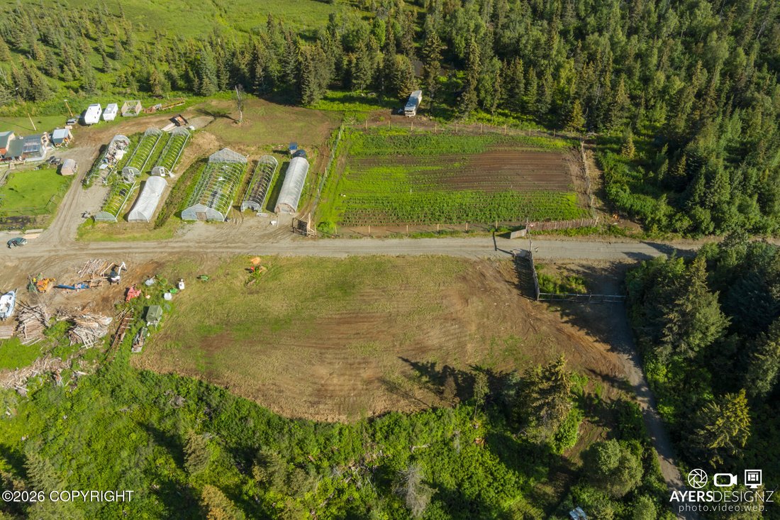 House in Anchor Point, Alaska, United States 3 - 18175886