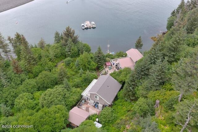 House in Homer, Alaska, United States 3 - 18175569