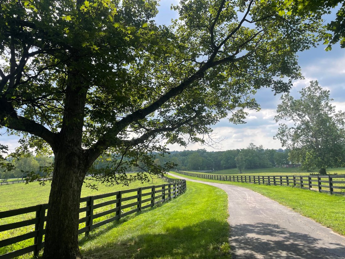 House in Cynthiana, Kentucky, United States 5 - 18176984