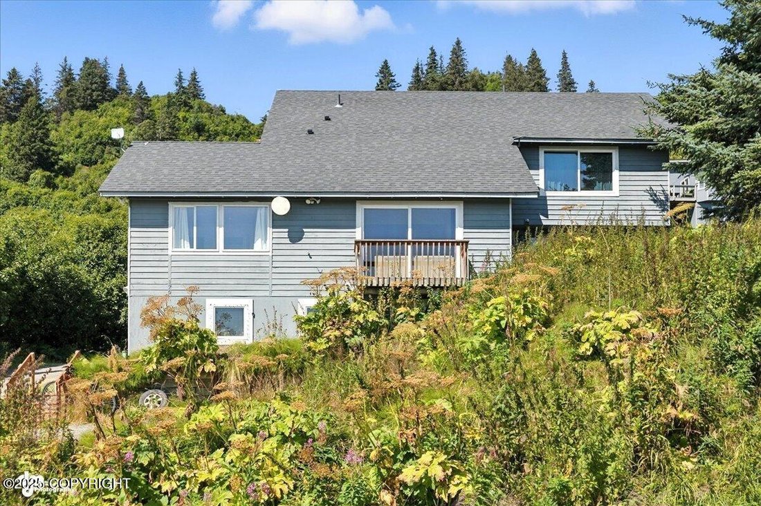 Homer, Alaska, United States 5 - 18175548