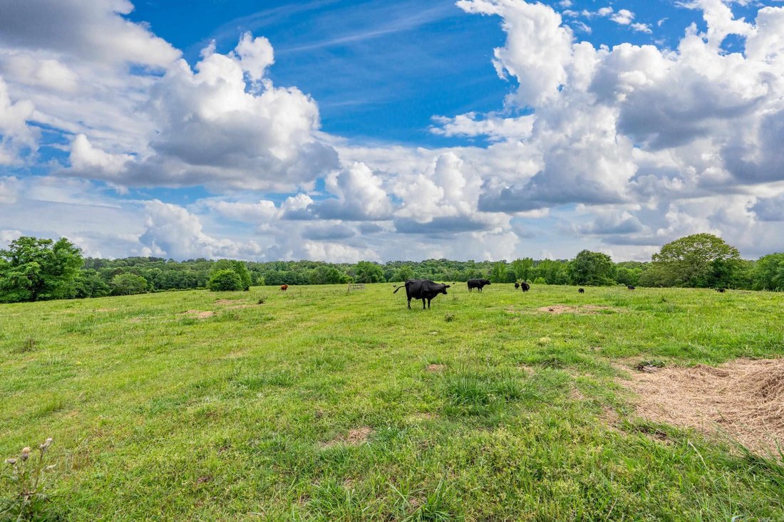 Farm Ranch in Bismarck, Arkansas, United States 5 - 18176427