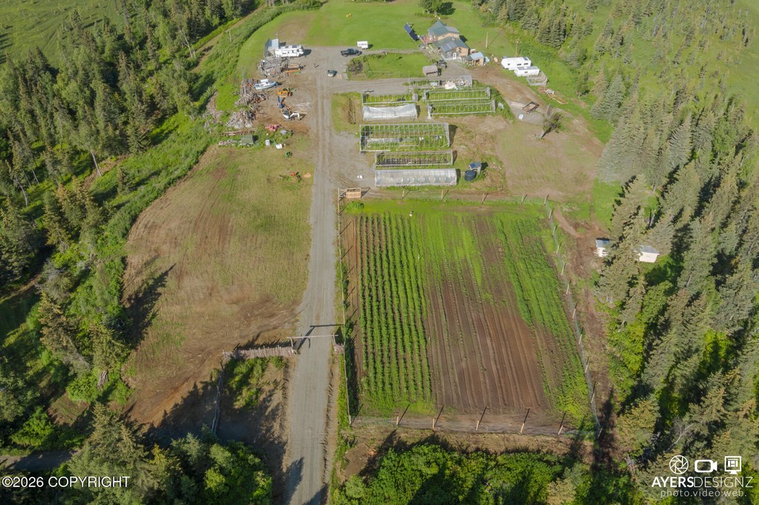 House in Anchor Point, Alaska, United States 4 - 18175886