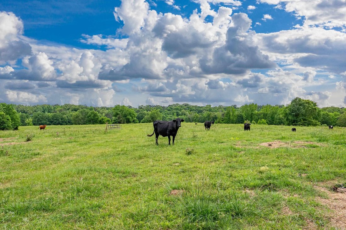 Farm Ranch in Bismarck, Arkansas, United States 1 - 18176427