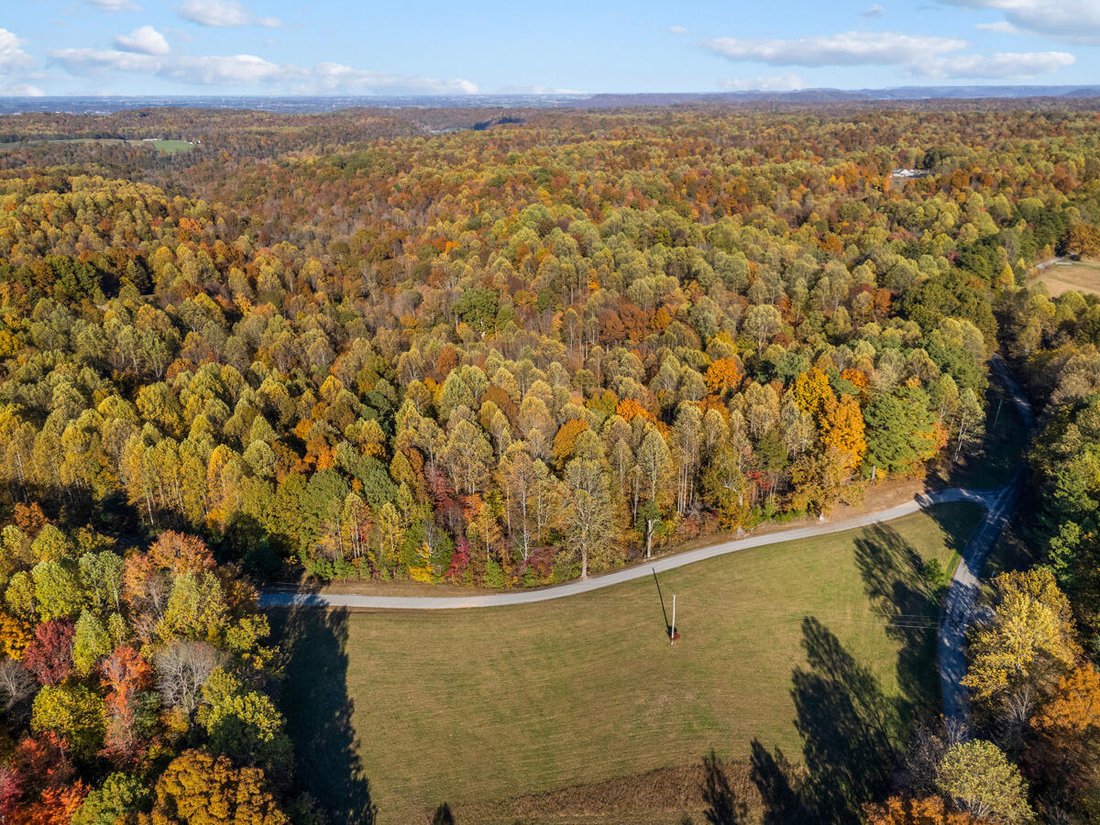 House in Campbellsville, Kentucky, United States 5 - 18176819
