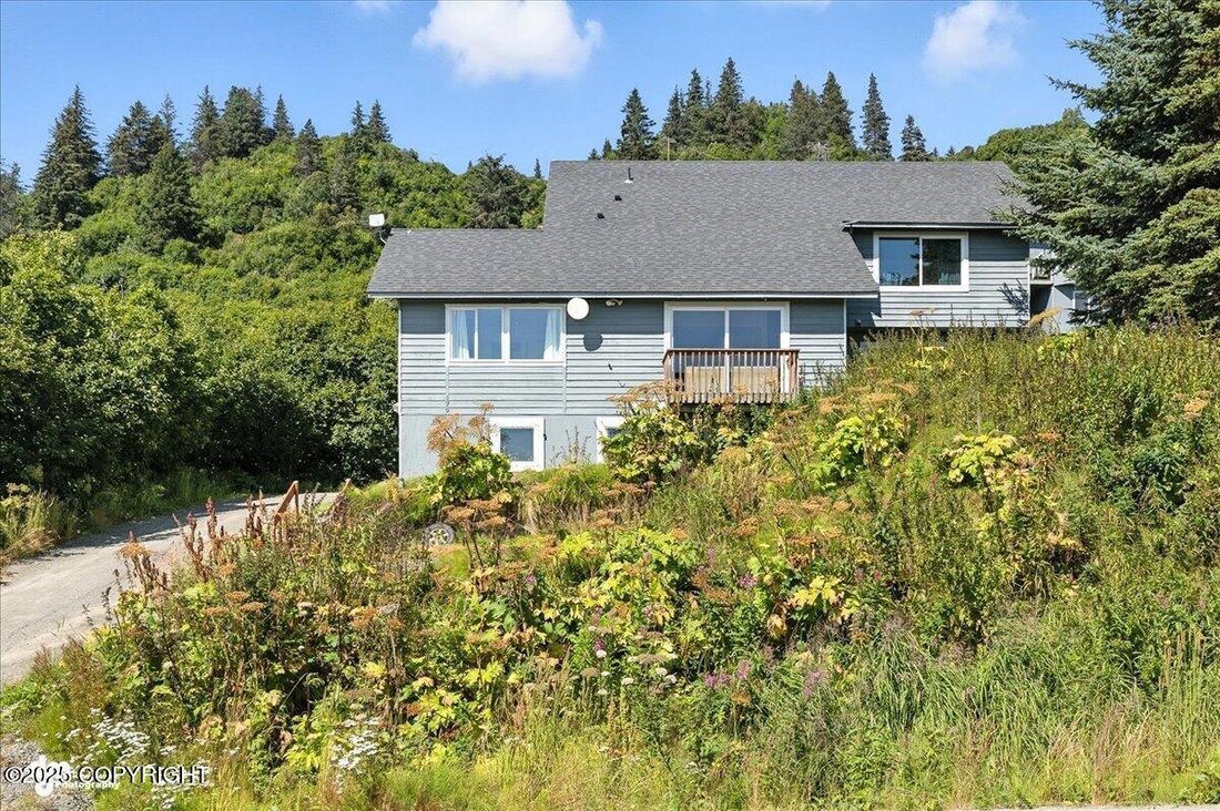 Homer, Alaska, United States 4 - 18175548
