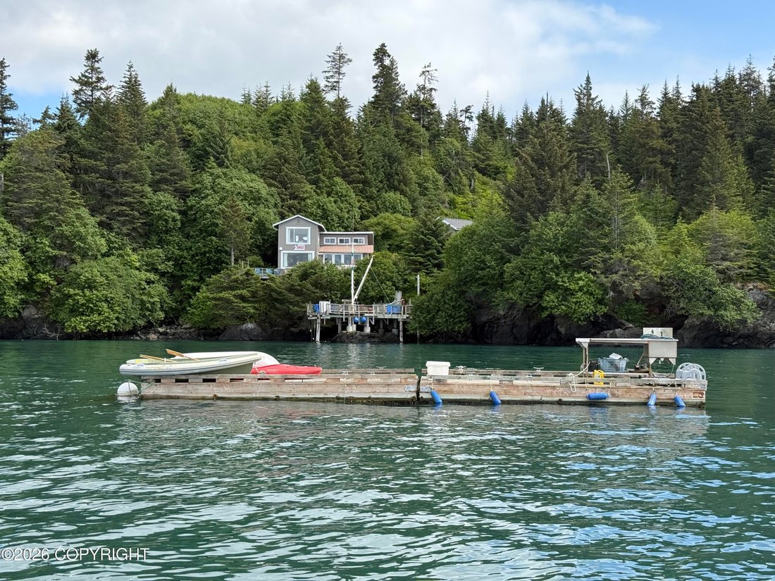 House in Homer, Alaska, United States 5 - 18175569