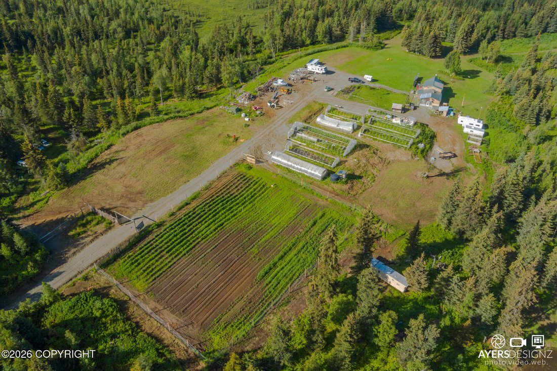 House in Anchor Point, Alaska, United States 5 - 18175886