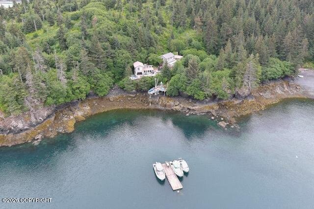 House in Homer, Alaska, United States 2 - 18175569