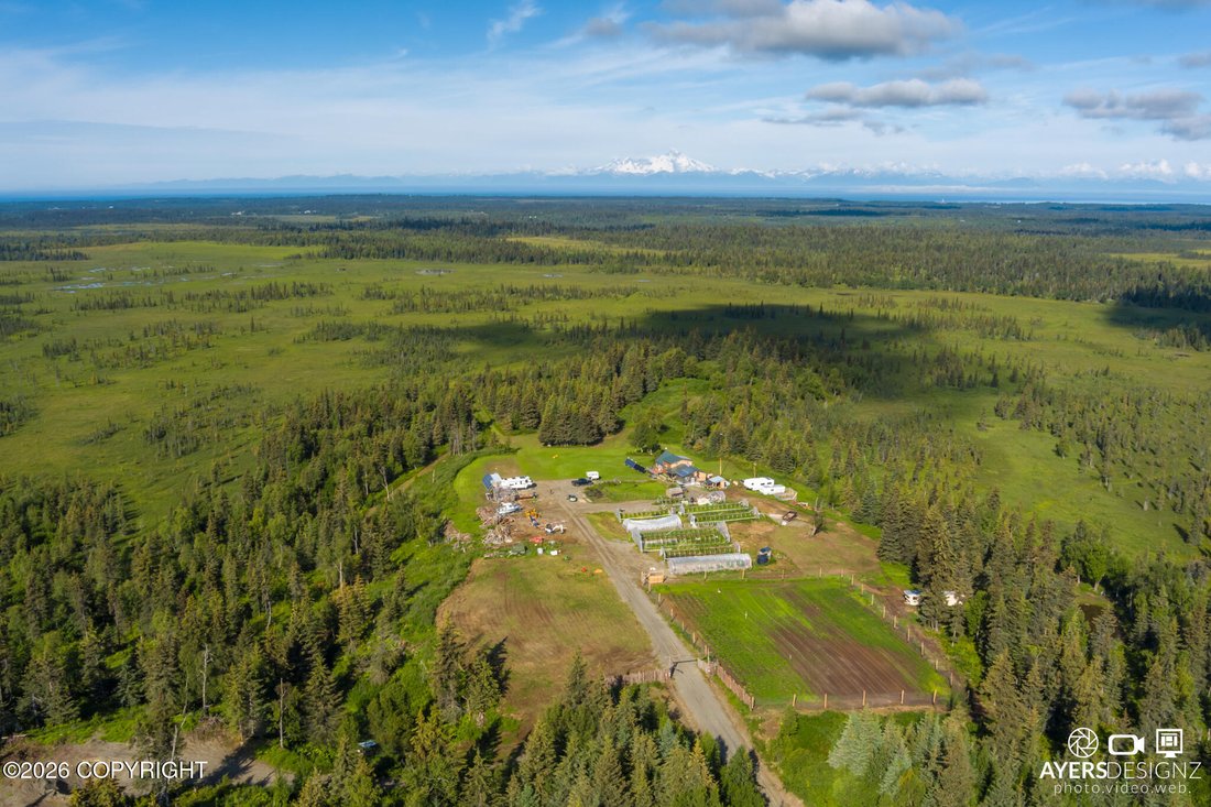 House in Anchor Point, Alaska, United States 2 - 18175886