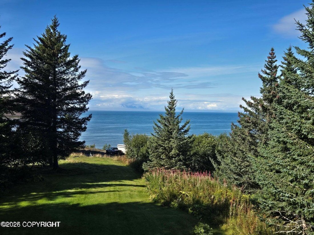 House in Anchor Point, Alaska, United States 5 - 18175634
