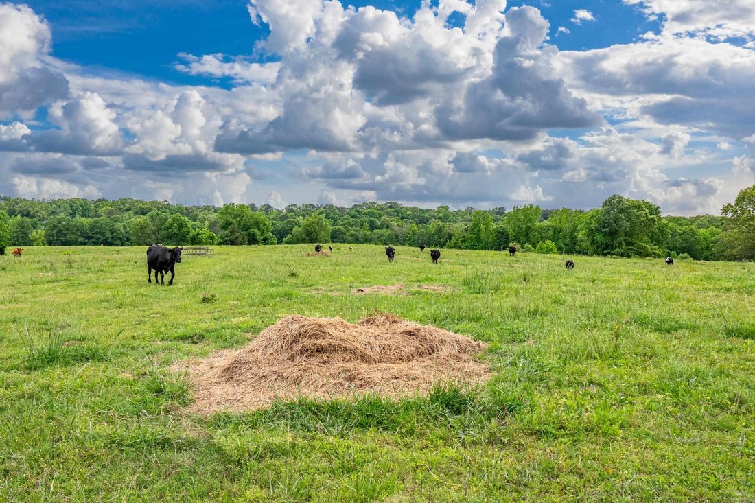 Farm Ranch in Bismarck, Arkansas, United States 4 - 18176427