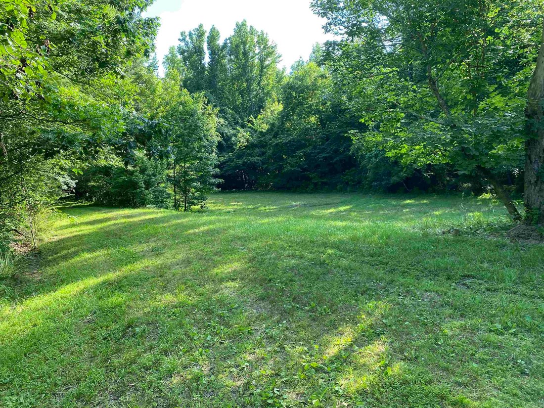 Farm Ranch in Norman, Arkansas, United States 3 - 18176454