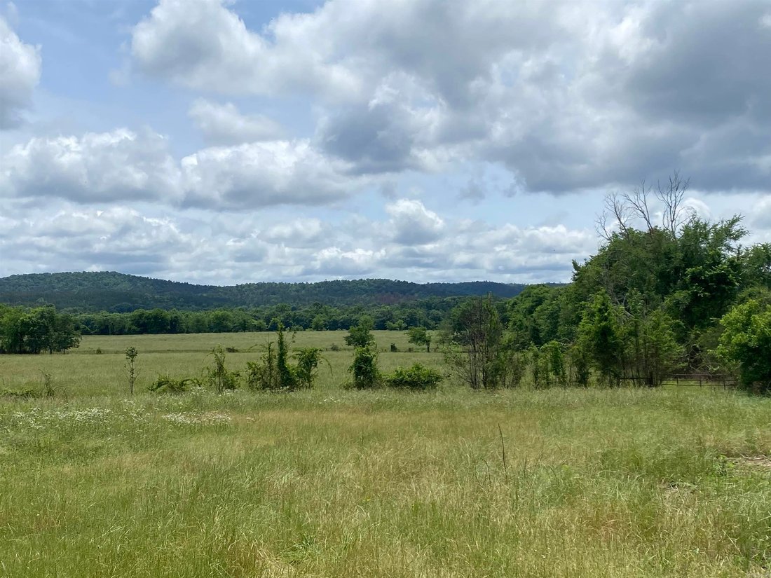 Farm Ranch in Oden, Arkansas, United States 5 - 18176390