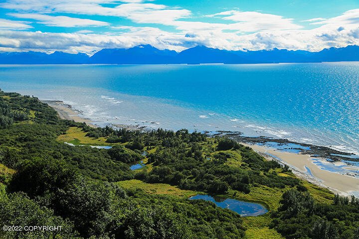 House in Homer, Alaska, United States 2 - 18175609